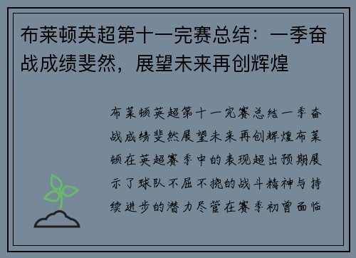 布莱顿英超第十一完赛总结：一季奋战成绩斐然，展望未来再创辉煌